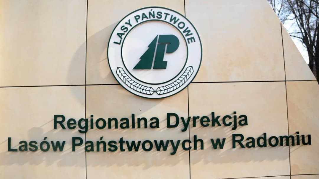 Regionalna dyrekcja lasów państwowych w Radomiu – kluczowe informacje i działalność